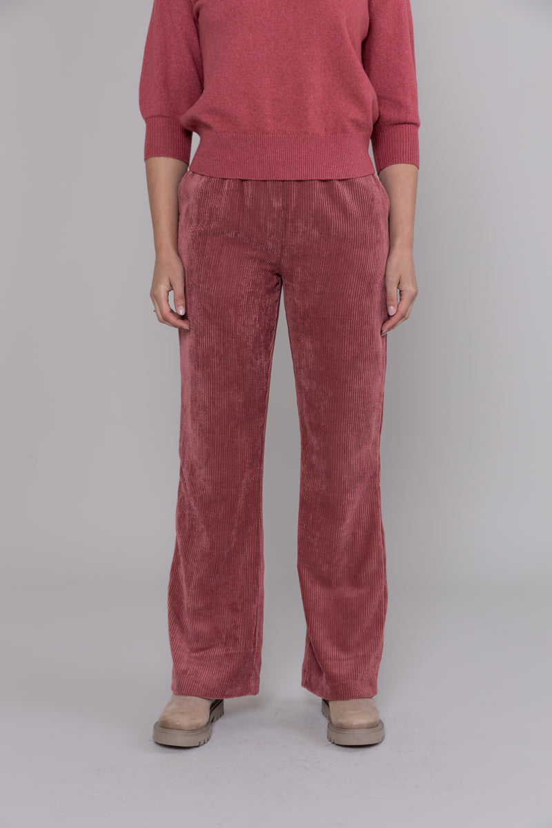 BROEK RIB UNI AUBERGINE