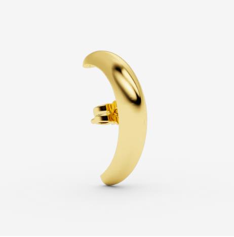 GOUDEN OORRING
